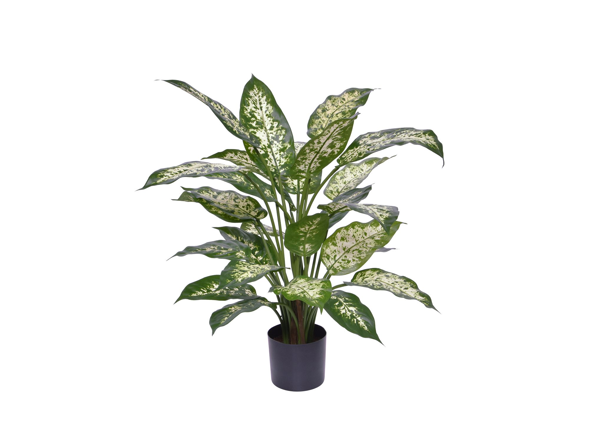 Designplants Dieffenbachia kunstplant (h:60cm)