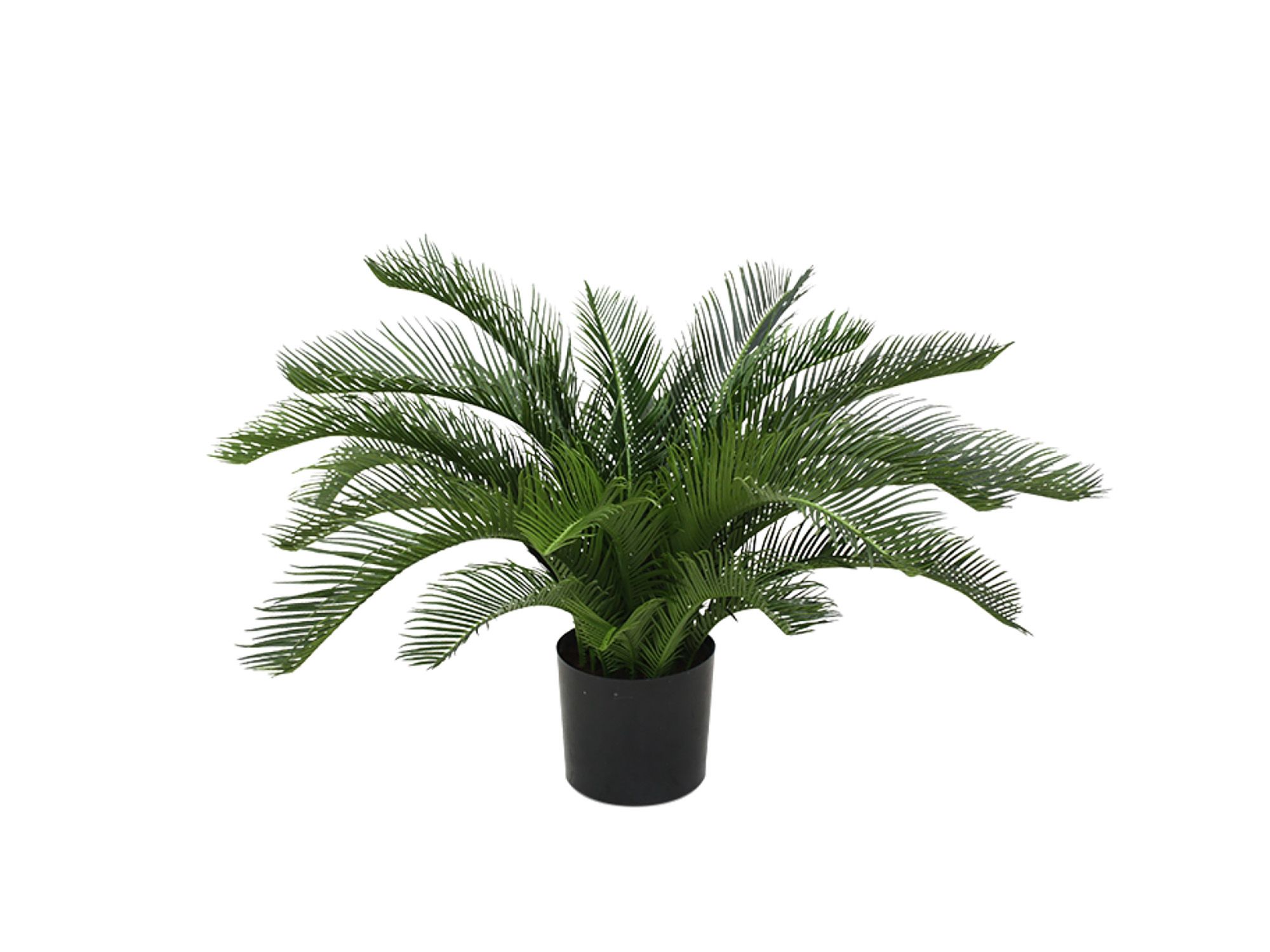 Designplants Cycas palm kunstplant (h:60cm)