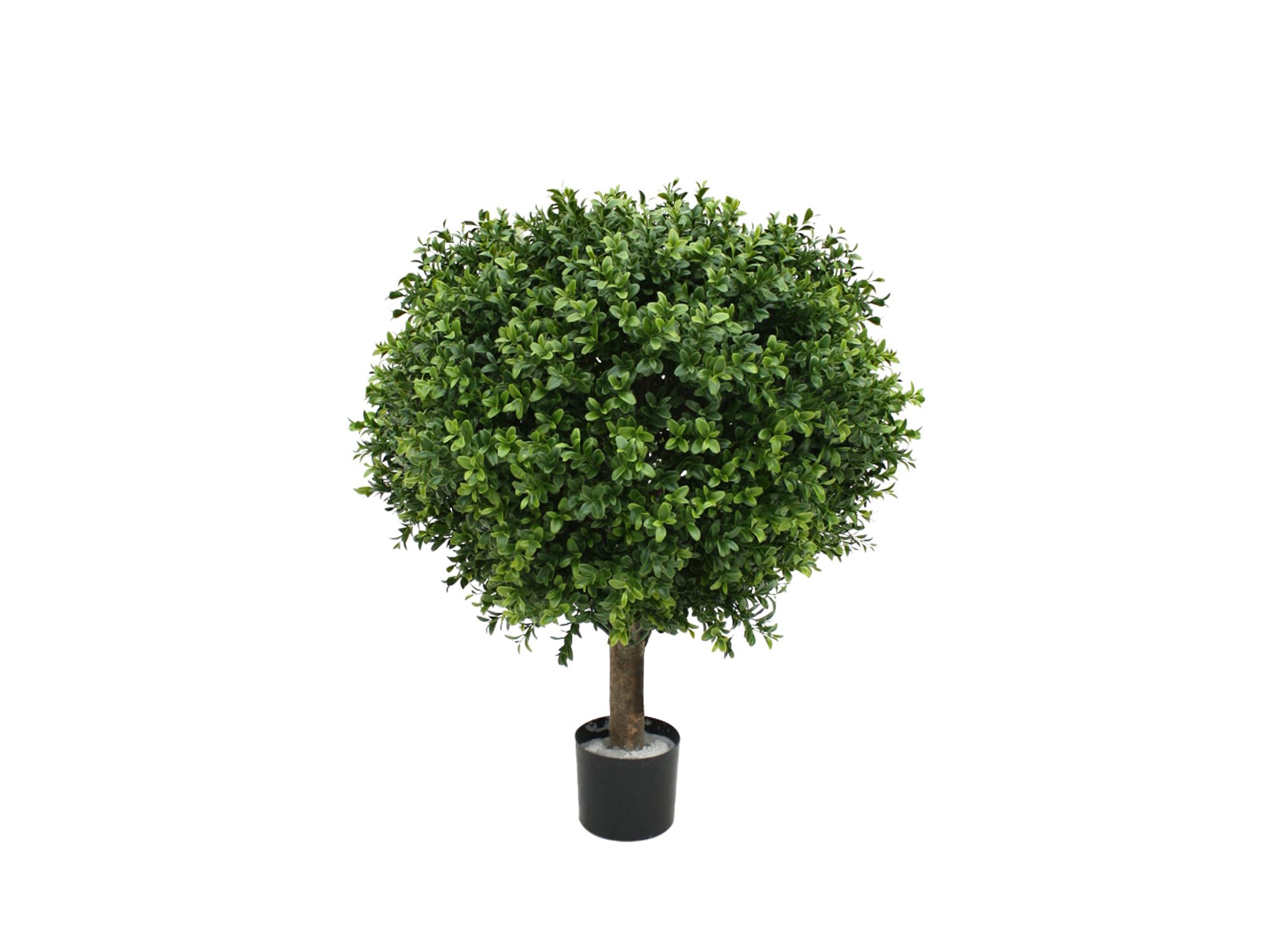 Designplants Buxus bol kunstplant (h:50cm)