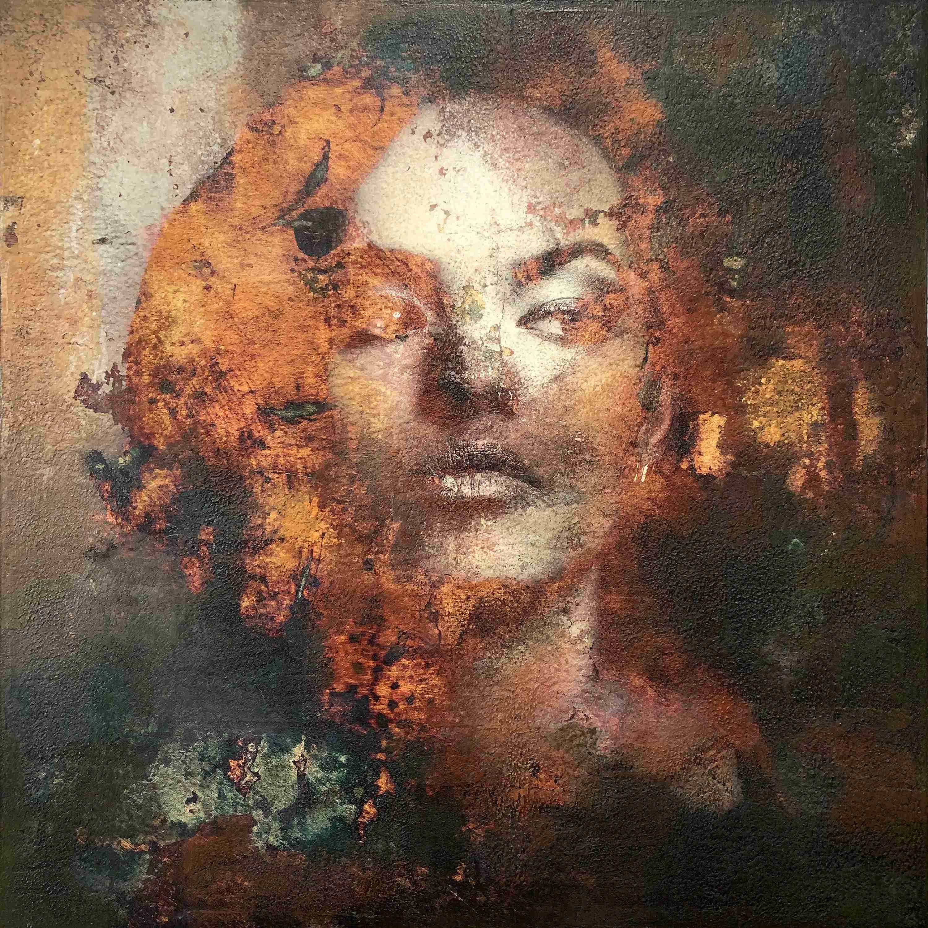 Anvy – Karin Vermeer