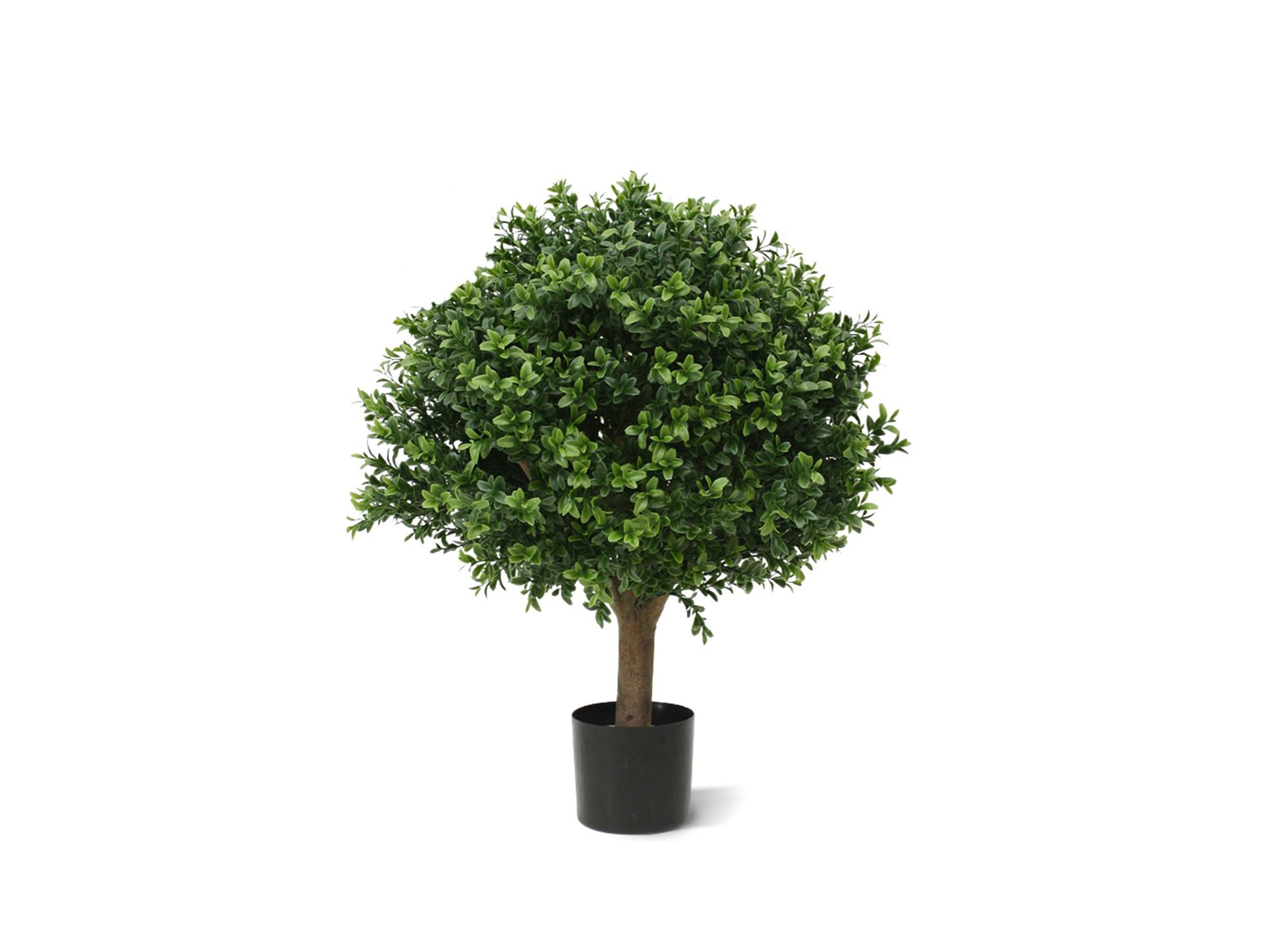Designplants Buxus bol kunstplant (h:40cm)
