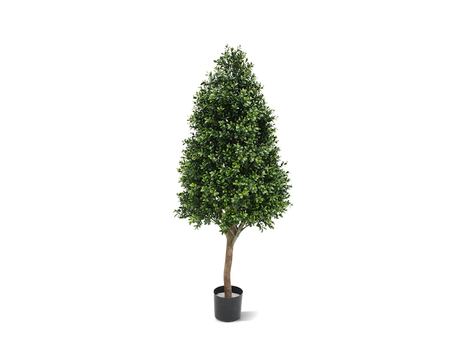 Designplants Buxus tower kunstplant (h:110cm)