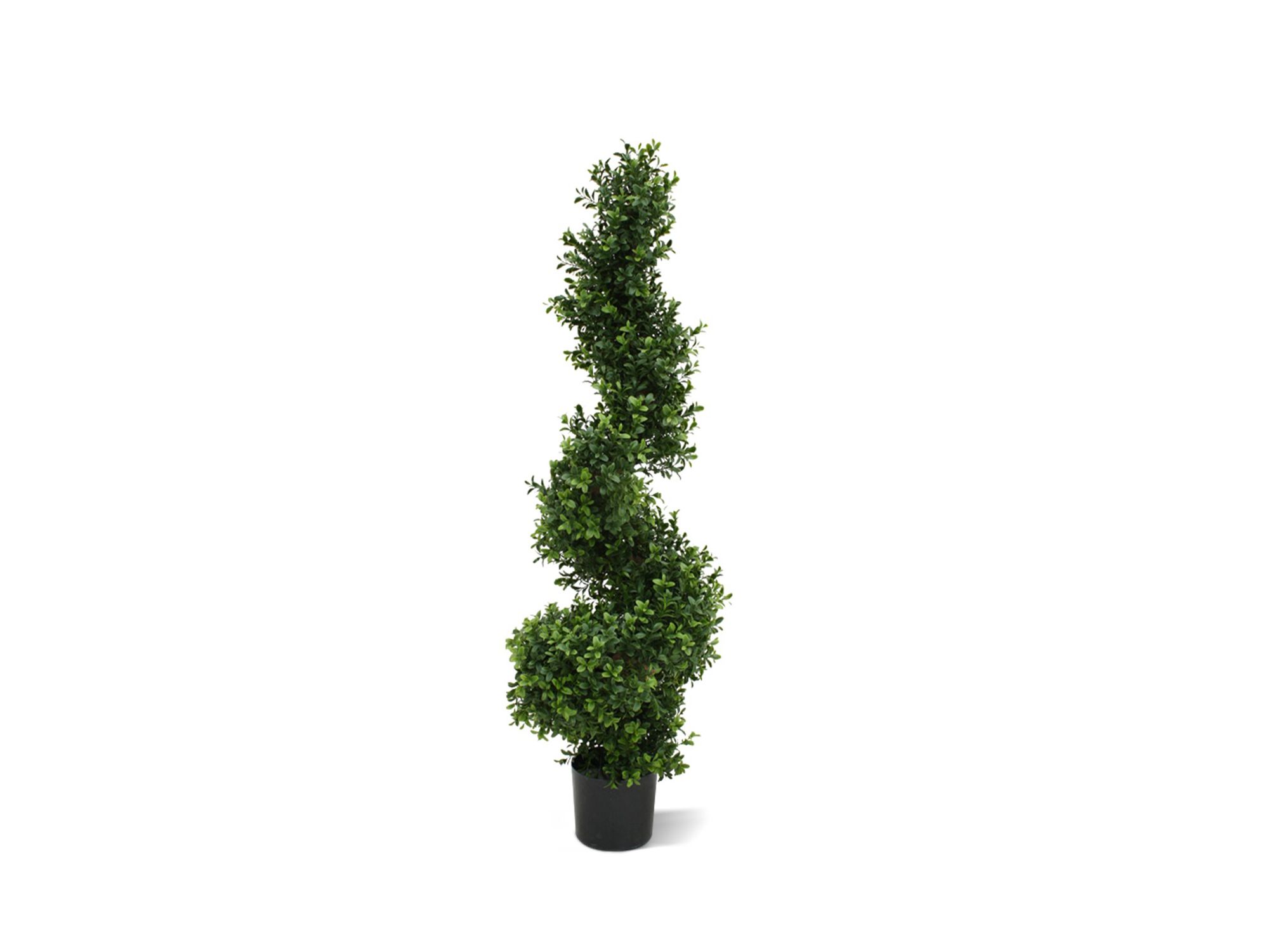 Designplants Buxus spiraal kunstboom (h:100cm)