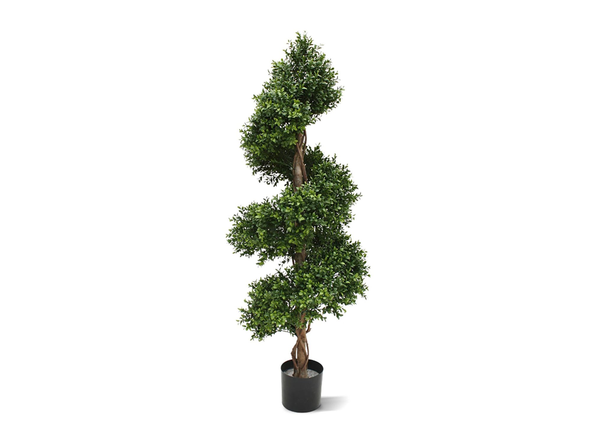 Designplants Buxus spiraal kunstboom (h:140cm)
